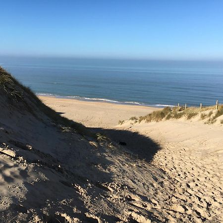 Eco Lodge Duin- Unieke Locatie -Strand, Duin En Nabij Cultuursteden كاستريكوم المظهر الخارجي الصورة