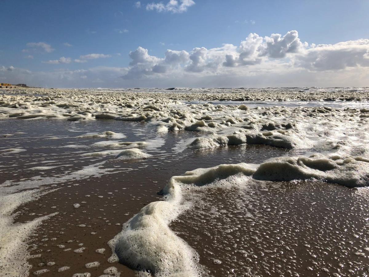Eco Lodge Duin- Unieke Locatie -Strand, Duin En Nabij Cultuursteden كاستريكوم المظهر الخارجي الصورة