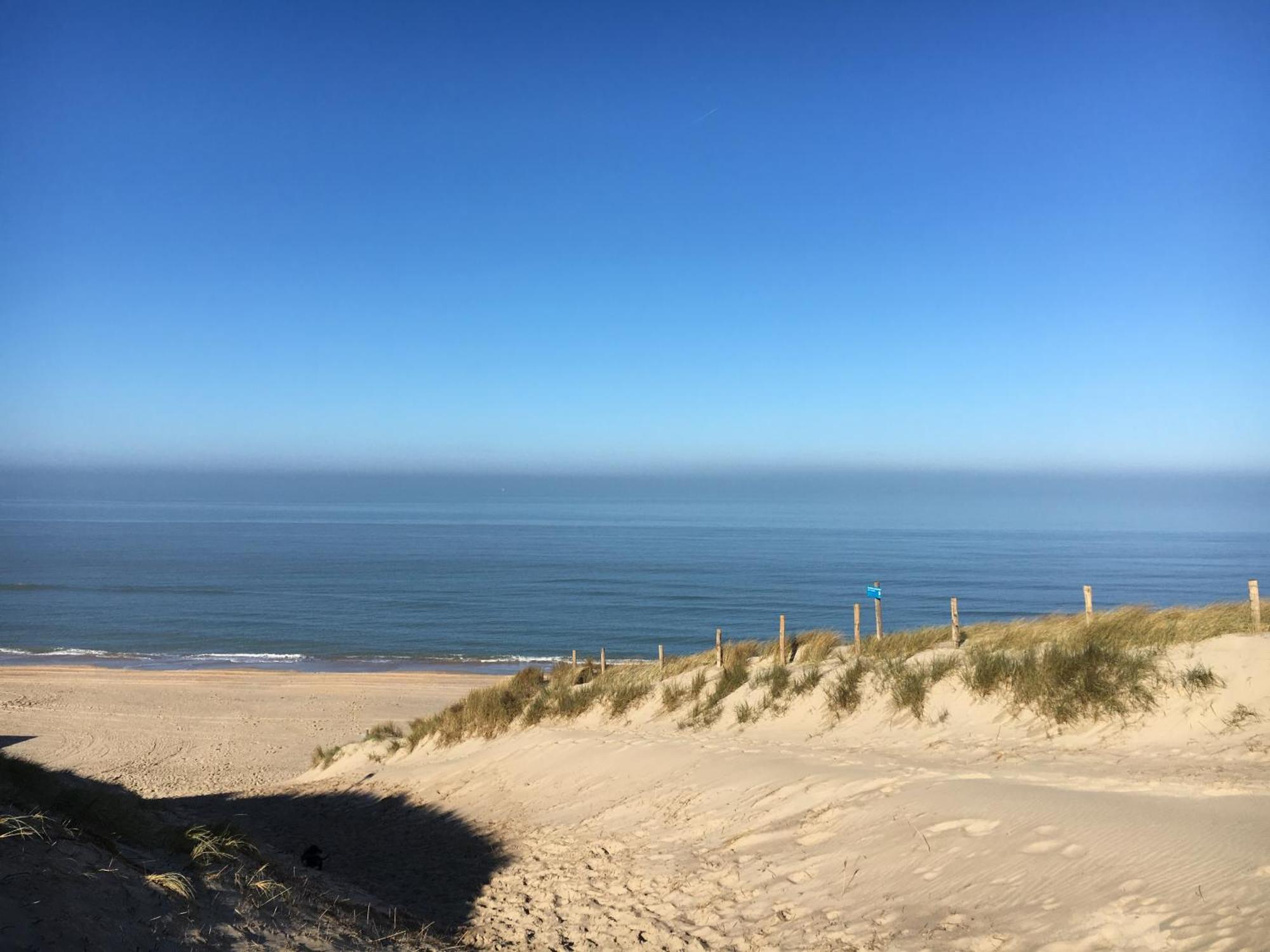 Eco Lodge Duin- Unieke Locatie -Strand, Duin En Nabij Cultuursteden كاستريكوم المظهر الخارجي الصورة