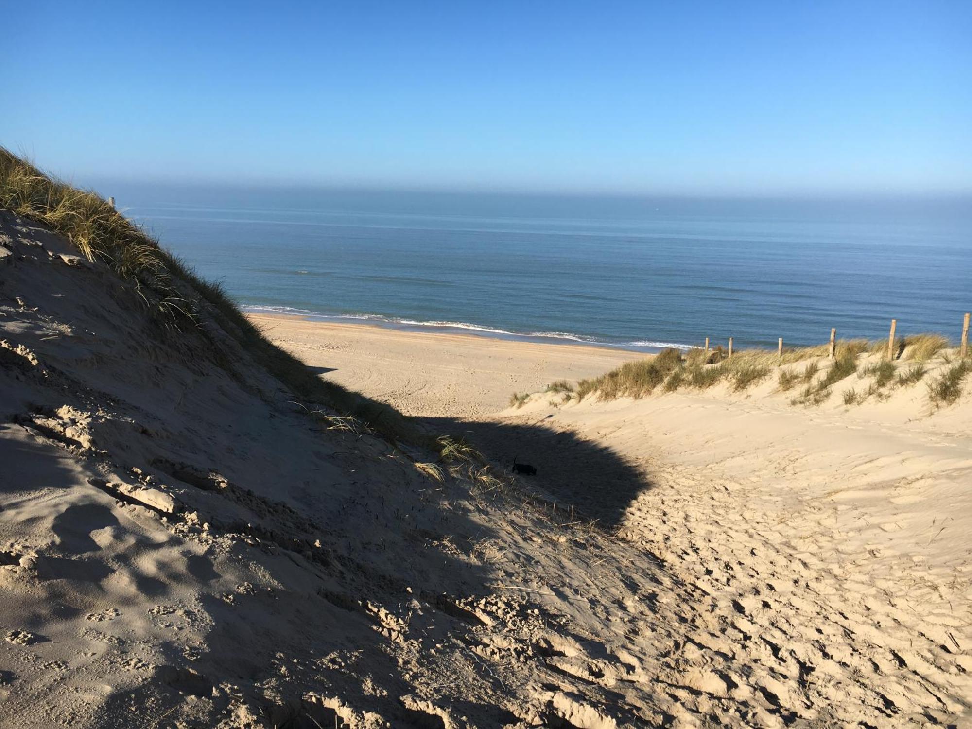 Eco Lodge Duin- Unieke Locatie -Strand, Duin En Nabij Cultuursteden كاستريكوم المظهر الخارجي الصورة