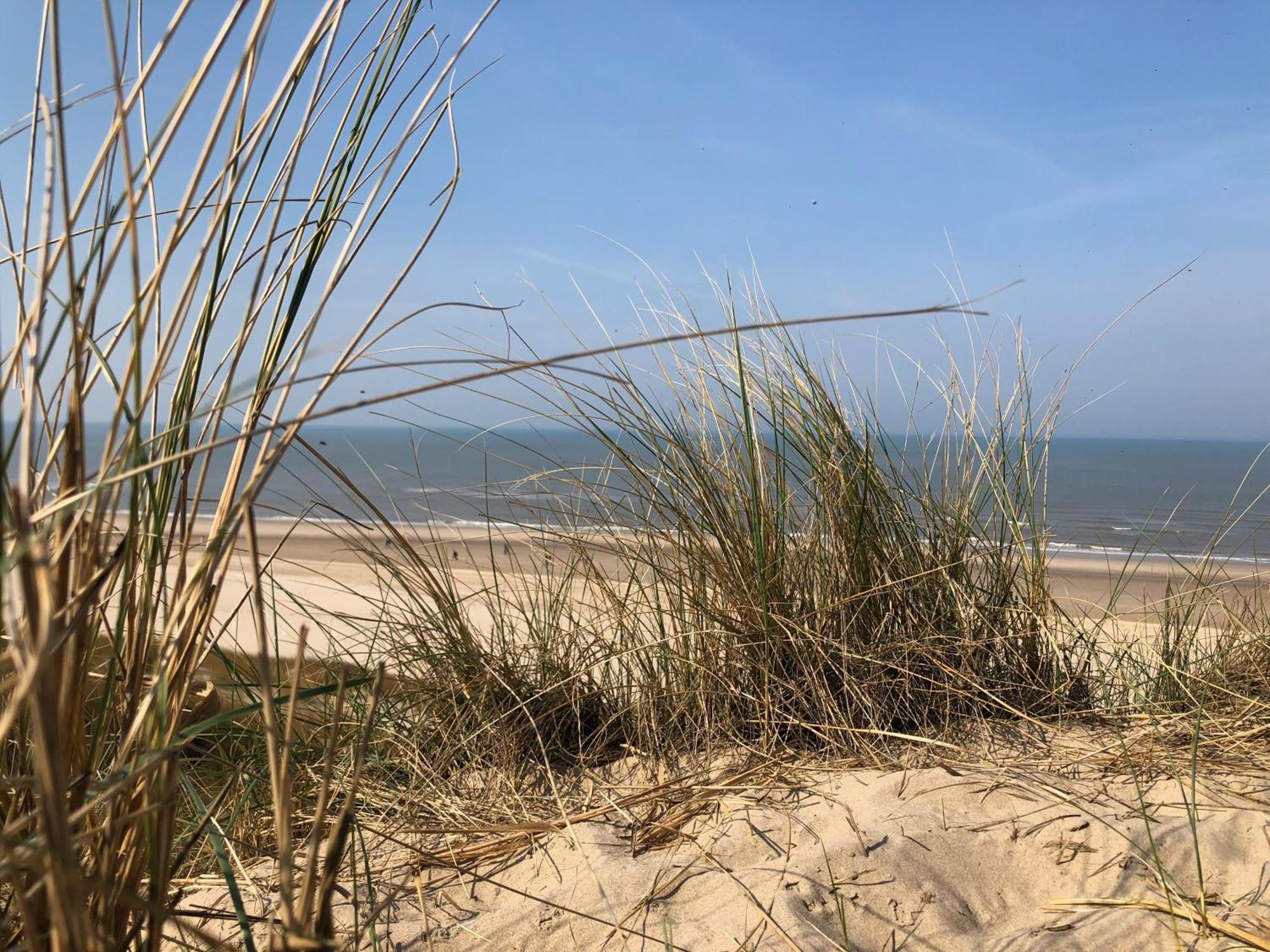 Eco Lodge Duin- Unieke Locatie -Strand, Duin En Nabij Cultuursteden كاستريكوم المظهر الخارجي الصورة